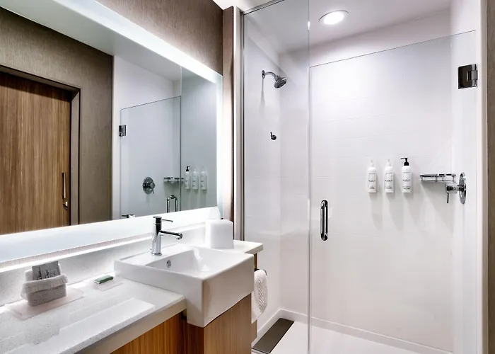 Hotel Springhill By Marriott 3*