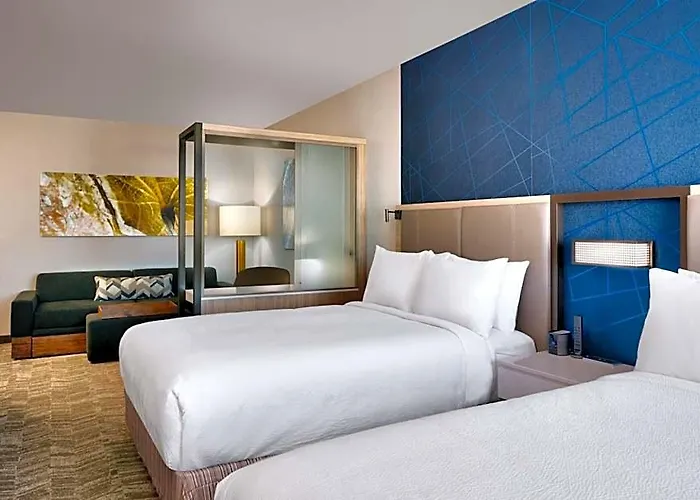 Hotel Springhill By Marriott 3*