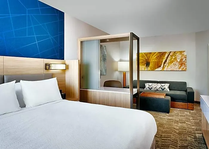 Hotel Springhill By Marriott 3*